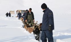 Bayburt'ta kar ve tipi nedeniyle kaybolan küçükbaş sürüsünü jandarma buldu