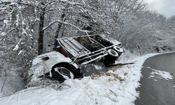 Bolu'da kamyonun devrildiği kazada onlarca tavuk telef oldu