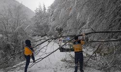 Kastamonu'da rahatsızlanan kişi paletli ambulansla hastaneye götürüldü