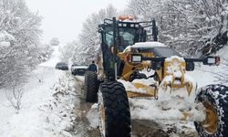 Samsun, Tokat ve Kastamonu'da kar nedeniyle 303 köy yolu kapandı