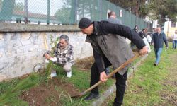 Vezirköprü'de şehit ve vefat eden öğretmenler anısına fidan dikildi