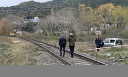 Zonguldak'ta trenin çarptığı hafif ticari araçtaki 2 kişi yaralandı