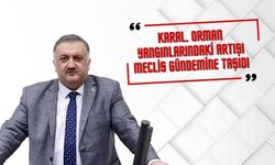 DEVA Partili Karal, orman yangınlarındaki artışı Meclis gündemine taşıdı