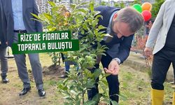 Rize’de Milli Ağaçlandırma Günü’nde Fidanlar Toprakla Buluştu