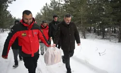 Erzurum'da Yaban Hayatına Destek: Köşk Göleti'nde Yemleme Etkinliği