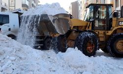 Erzurum'da günde 970 kamyon kar, şehir dışına taşınıyor