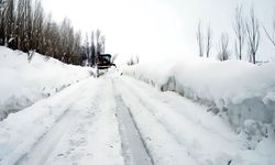 Rize'de kar nedeniyle 14 köy yolu ulaşıma kapandı