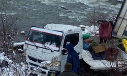 Artvin’de Meyve yüklü kamyonet, dereye yuvarlandı; 1 yaralı