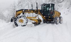 Rize'de kar nedeniyle 67 köye ulaşım sağlanamıyor