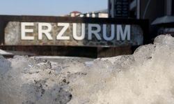 Doğu'da Sibirya soğukları: Göle'de termometreler -30,3'ü gördü