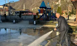 Borçka Belediyesi Temiz ve Güvenli Bir Borçka İçin Çalışmalarını Sürdürüyor