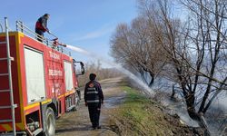 Amasya'da otluk alanda başlayıp ağaçlık bölgeye sıçrayan yangın söndürüldü