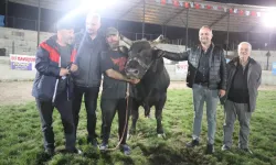 Yusufeli’de Geleneksel Coşku Derekapı Boğa Güreşleri Festivali Nefes Kesti
