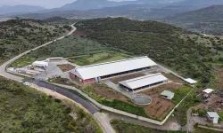 İzmir süt üretiminde zirveye tırmanacak: 2027 hedefi 2 milyon ton!
