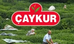 ÇAYKUR İŞÇİ ALIMI KURA ÇEKİM TARİHİ BELLİ OLDU! ÇAYKUR 1500 işçi alımı kura çekimi ne zaman, kura sonuçları açıklandı mı