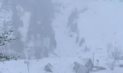 Alp Dağları'ndan kopan buzul parçaları köyü yuttu