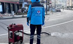 Trabzon’da Yaz Öncesi Vektörle Mücadele Seferberliği Sürüyor