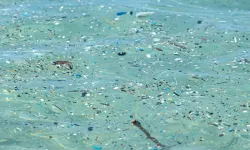 Okyanusun her derinliğinde mikroplastik parçacıklarının tespit edildiği belirlendi