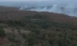 Kocaeli'de yangın tedbiri: 6 ay boyunca yasaklandı