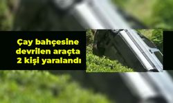 Rize'de hafif ticari aracın çay bahçesine devrildiği kazada 2 kişi yaralandı