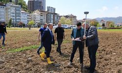 Arhavi Belediyesinden Yeni Sosyal Tesis ve Çocuk Oyun Parkı Projesi Başlatıldı