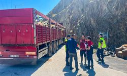 Artvin’de Kurban Bayramı Öncesi Sıkı Kurbanlık Denetimleri Başladı