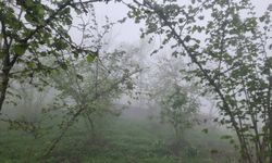 TARSİM Sigortası Yapan Çiftçilere Zirai Don İhbarı Fırsatı