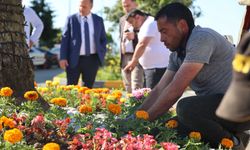 Arhavi Belediyesi’nden Peyzaj Çalışmaları ile Renkli Bir Dönüşüm