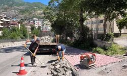 Artvin Belediyesi’nden Kaldırım Yenileme ve Temizlik Seferberliği