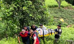 Arhavi Belediyesi’nden Hızlı Müdahale Kazazede Güvenli Şekilde Kurtarıldı