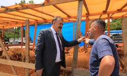 Trabzon İl Tarım Müdüründen Kurban Bayramı Öncesi Önemli Uyarılar