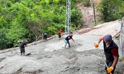 Artvin'de Heyelan Sonrası Şara Yolu'nda Onarım Çalışmaları Başladı