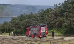 Sultangazi Kent Ormanı alevler içinde kaldı!