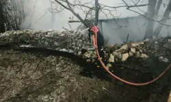 Kütahya'da 4 kümes yandı; 100 tavuk telef oldu