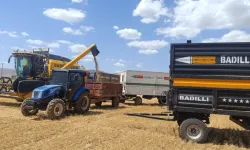 Mardin'de sezonun ilk arpa hasadı yapıldı