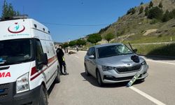 Bayat'ta ineğe çarpan otomobilin sürücüsü yaralandı