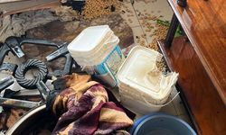 Bolu'da balkonda yakılan piknik tüpü yangına neden oldu