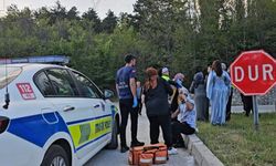 Çorum'da otomobil ile minibüsün çarpışması sonucu 4 kişi yaralandı
