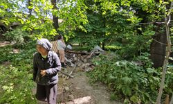 Çorum'da su kuyusuna düşen yavru köpekler öldü