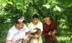 Düzce'de bulunan 2 karaca yavrusu kontrollerin ardından doğaya bırakıldı