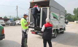 Düzce'de Kurban Bayramı öncesi denetim yapıldı