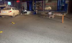 Düzce'de silahlı kavgada 1 kişi yaralandı