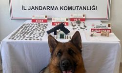 Gümüşhane'de 165 sikke ele geçirildi