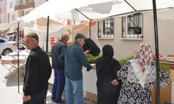Havza Ziraat Odasında sebze fidesi satışları başladı