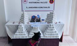 Kastamonu'da uyuşturucu operasyonunda 1 şüpheli tutuklandı