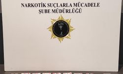 Samsun'da düzenlenen uyuşturucu operasyonunda 2 zanlı yakalandı