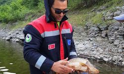 Samsun'da ekipler su kaynaklarında kaçak avcılığı önlemeye çalışıyor