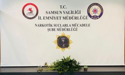 Samsun'da evde kurdukları serada kenevir yetiştiren 2 kişi gözaltına alındı