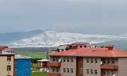 Ardahan'ın yüksek kesimleri beyaza büründü