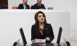 Kış: 'Parlamento Saray’ın icazet makamı değildir!'